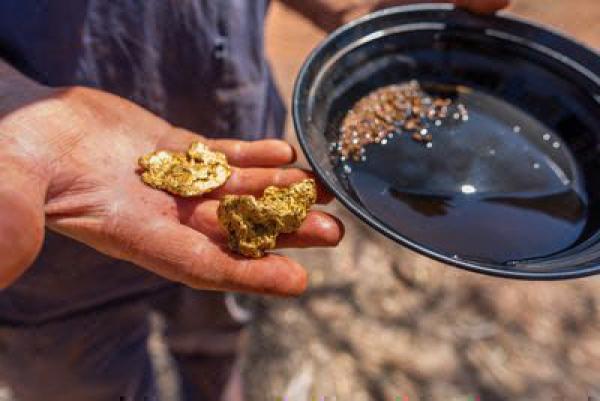 Bild 1 von 1: Aussie Gold Hunters