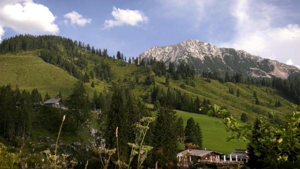 Bild 1 von 5: Bauernleben in Filzmoos