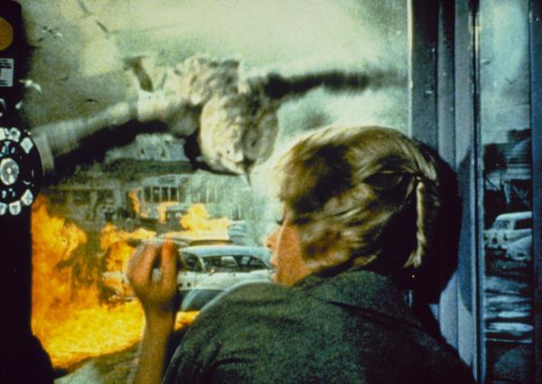 Bild 1 von 5: Eine scheinbar gewöhnliche Seemöve hat es auf Melanie Daniels (Tippi Hedren) abgesehen ...