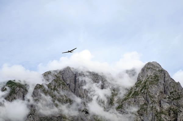 Bild 1 von 3: Hoch oben: Eine Rasterfahndung mit dem Flugzeug über die Wälder von Franz Hohenberg gibt Auskunft über einen möglichen Borkenkäferbefall.