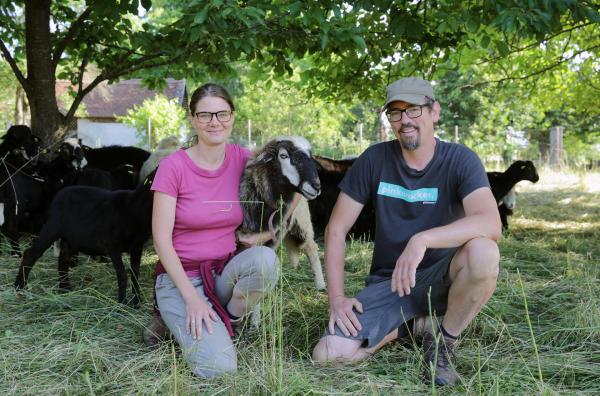 Bild 1 von 4: Julia und Alexander Elpons mit ihren Schafen