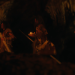 Geheimnisse des Neandertalers Unser unterschätzter Verwandter