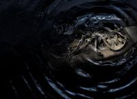 Cold Case Files - Wahre Fälle der US-Ermittler