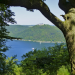 Entdeckungen an Eder und Edersee