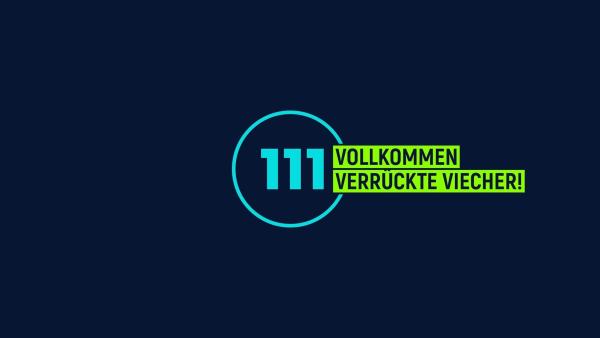 Bild 1 von 1: .