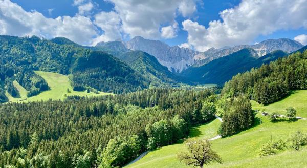 Bild 1 von 12: Fast lieblich und ausnehmend grün schmiegt sich das Kärntner Rosental an den Gebirgszug der Karawanken. Entlang der Drau leben hier noch viele Einheimische, die das Bauerntum noch vor der maschinellen Zeit kennen gelernt haben. Gerade in gebirgigeren Regionen wie dieser bedeuteten bergbäuerliche oder forstliche Arbeit schweren körperlichen Einsatz oft bis zur völligen Erschöpfung und zum Verschleiß. Heute ist vieles davon nur mehr eine ferne Erinnerung, wenn auch die Werte, nach denen damals gelebt wurde, bei vielen noch immer Bestand haben. Im Bild: Rosental.