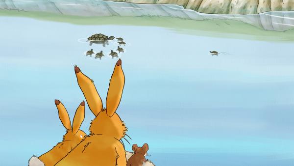 Bild 1 von 5: Der kleine Hase beobachtet mit dem großen Hasen und der kleinen Feldmaus die Schildkröten im Fluss.© KiKA/SLR Productions Australia Pty.Ltd./Scrawl Studios Pte Ltd./hr/ARD - Honorarfreie Verwendung gemäß AGB im redaktionellen Zusammenhang mit genannter Sendung bei Nennung \