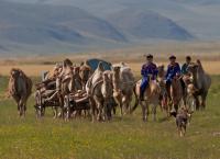 Amur - Asiens Amazonas