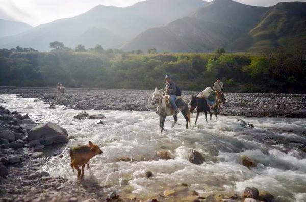 Bild 1 von 5: Auf teils mehrtägigen Touren, oft auf den Rücken von Pferd und Maultier, besucht Dr. Jorge Fusaro regelmäßig Patienten in den Bergen Nordargentiniens.