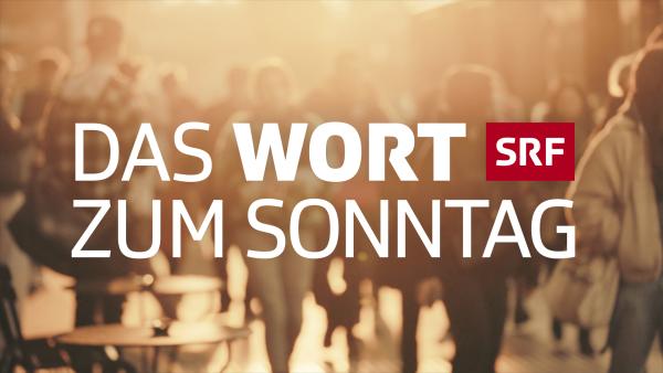 Bild 1 von 4: .