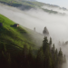Wilde Schweiz II: Naturpark Beverin