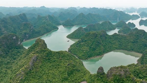 Bild 1 von 11: Auf den Felsen der Halong-Bucht leben Tiere, die es sonst nirgendwo auf der Welt gibt.