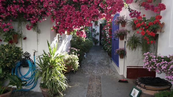 Bild 1 von 5: .