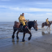 Leben an der Nordsee