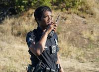 The Rookie
