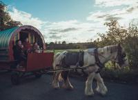 Goodbye Deutschland! Die Auswanderer