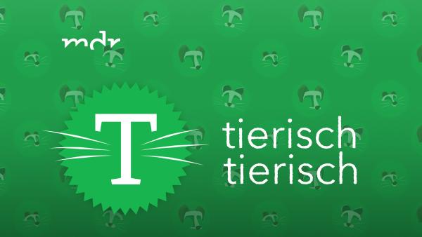 Bild 1 von 2: Logo