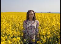 Kommissar Wallander - Die falsche Fährte