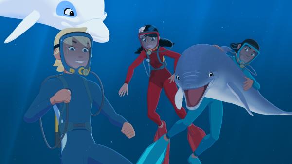 Bild 1 von 5: Yann (v.l.), Timeti (h.M.) und Auru (h.r.) tauchen vergnügt mit Zoom und Igor im Meer vor der Insel Maotou. Igor ist befreit von seinem Peilsender und genießt diese neu gewonnene Freiheit.