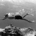 Flipper