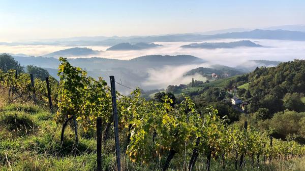 Bild 1 von 7: .