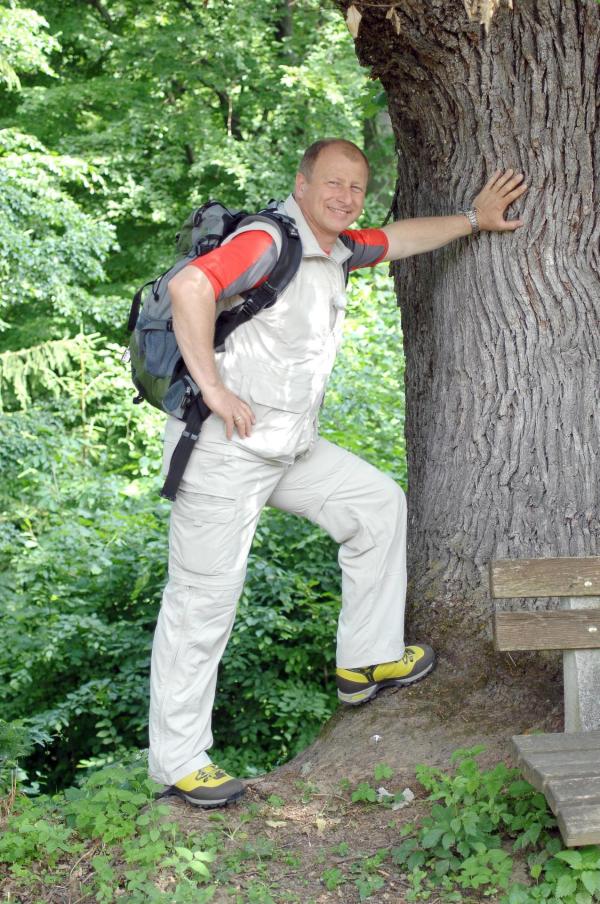 Bild 1 von 2: Im Bild: Harry Prünster.