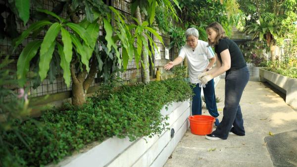 Bild 1 von 8: Klimakrise, Artensterben, Verschmutzung der Flüsse und Ozeane, Wassermangel in zahlreichen Regionen, massiver Rückgang fruchtbarer Böden - und das sind nur ein paar Beispiele dafür, wie sehr die Natur unter Druck geraten ist. Noch funktioniert sie Großteils aber die Wissenschaft warnt immer eindringlicher vor sogenannten Kipppunkten, die zu unumkehrbaren Veränderungen führen - wie das Auftauen des Permafrosts oder das Verschwinden des Amazonas Regenwaldes. Inzwischen ist vielen klar geworden, wir müssen rascher ins Handeln kommen, denn die Zeit drängt. Im Bild: Singapur: Korrespondentin Isabella Purkart mit der Pensionistin Doris Yuen, die sich um den Dachgarten im Wohnhaus für Senioren kümmert.