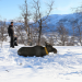 Skandinaviens versteckte Paradiese