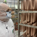 Fleischindustrie im Check