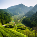 Wildes Japan - Land der tausend Inseln