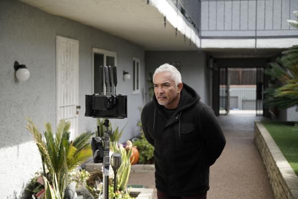 Bild 1 von 4: .