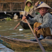 Wildes Indochina