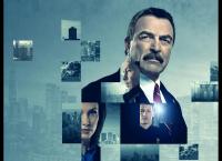Blue Bloods - Crime Scene New York