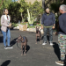 Cesar Millan: Better Human Better Dog - Bessere Menschen, bessere Hunde