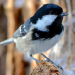 Abenteuer Wildnis