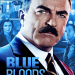 Blue Bloods - Crime Scene New York
