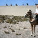 Durchs wilde Kurdistan