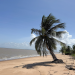 Abenteuer Suriname