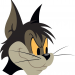 Die Tom und Jerry Show