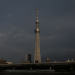Strip the City - Tokio
