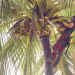 360° Reportage