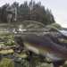 360° Geo Reportage