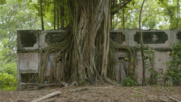 Bild 1 von 3: In der verlassenen kolumbianischen Stadt Armero befinden sich die Überreste zahlreicher Kreuze, Grabsteine und Schreine. Hier scheinen viele Menschen auf rätselhafte Weise verstorben zu sein.