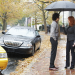 Body of Proof