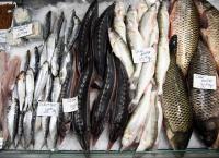 Im Bauch von Bukarest