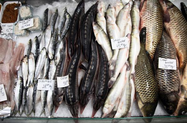 Bild 1 von 3: Frisch aus der Donau und den umliegenden Flüssen bringt der Fisch auf dem Obor-Markt den Wasserreichtum Rumäniens direkt auf die Tische Bukarests.
