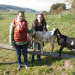 Anna und die Haustiere