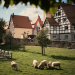 Bild 13