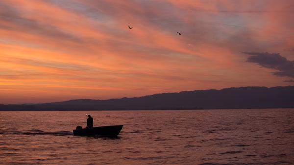 Bodensee - Wildnis am großen Wasser