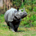 Big Five Asien